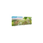 Country poneys avec poulains