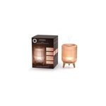 Diffuseur brume de parfum lectrique