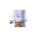 Diffuseur d huiles essentielles elo