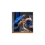 Dragon temp�te puzzle 3d bois