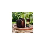 Duo diffuseur passif et eucalyptus bio