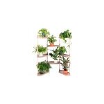 �tag�re modulaire pour plantes en couleur �corce de pin � 8 plateaux