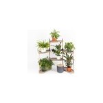 �tag�re modulaire pour plantes en couleur �corce de pin � 6 plateaux