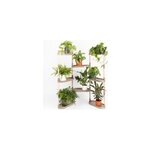 tagre plantes corce de pin 8 plateaux