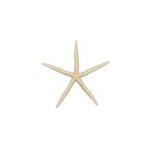 Etoile mer linckia laevigata blanche