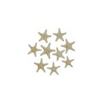 Etoiles mer rhino protoreaster