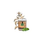 Extrait ferment� - ortie 1l ou 5l