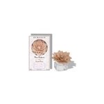 Fleur parfumée pétales de musc Fleur parfumée pétales de musc