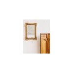 Georges, le miroir  fleurs dor n226