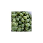 Godet - kiwi de sibrie arguta super issa (autofertile)