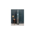 Grand vestiaire en m�tal n�173