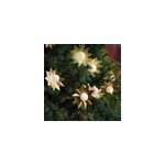 Guirlande lumineuse �toile