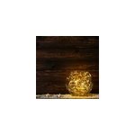 Guirlande lumineuse skinny solar 100