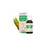 Herbalgem - bourgeon de bouleau - bio