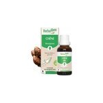 Herbalgem - bourgeon de ch�ne - bio
