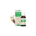 Herbalgem - bourgeon de pommier - bio