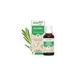 Herbalgem - bourgeon de romarin - bio
