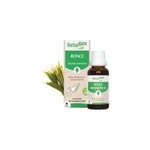 Herbalgem - bourgeon de ronce - bio