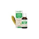 Herbalgem - bourgeon de viorne lantane - bio