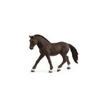 Horse club poney de selle allemand