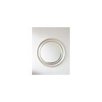 Igor, le grand miroir argent� n�921