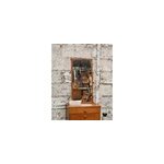 Igor, le miroir r�troviseur n�758