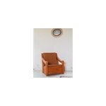 Jakob, le fauteuil camel n301