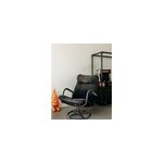 Jakob, le fauteuil pivotant n484