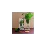 Jardin autonome : persil - bio
