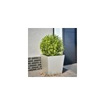 Jardini�re bac lit sur�lev� plantes fleurs terrasse 50 x 50 x 50 cm argent�