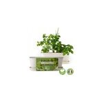 Jardinire graines aromates bio