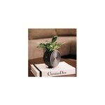 Jardini�re ronde auto - arrosante noire