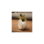 Jardini�re ronde auto - arrosante beige