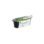 Jardini�re zinc noir 30 cm - aromates