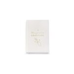 Journal de gratitude