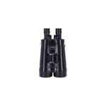 Jumelles zeiss stabilisée 20x60 s Jumelles zeiss stabilisée 20x60 s