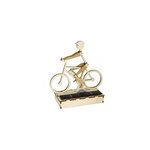 Kit cycliste solaire en bois