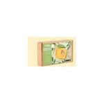 Kit jesmonite vide poches citron Kit jesmonite vide poches citron