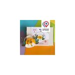 Kit papier - déco perroquet bleue à coll Kit papier - déco perroquet bleue à coll
