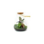 Kit terrarium diy - samos