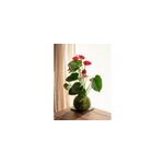 Kokedama - anthurium