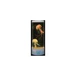 Lampe aquarium mduse