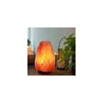 Lampe de sel d'himalaya de 2 à 3 kg Lampe de sel d'himalaya de 2 à 3 kg