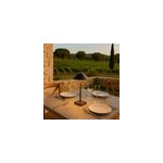 Lampe de table sans fil noir marais