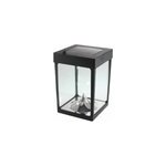 Lanterne photophore solaire