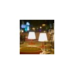 Lot de 2 lampes de table sans fil terracotta twins