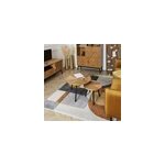 Lot de 2 tables gigognes