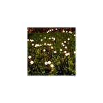 Lot de 9 torches solaires 90 boules noir lyra