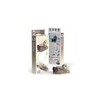 Loutre de mer eugy 3d