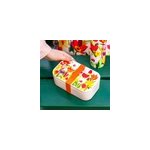 Lunch box multicolore